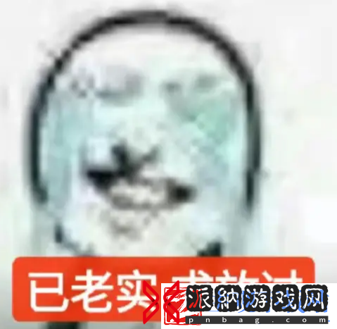 已老实求放过梗介绍