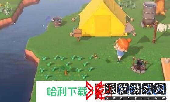 动物森友会海猪怎么获得