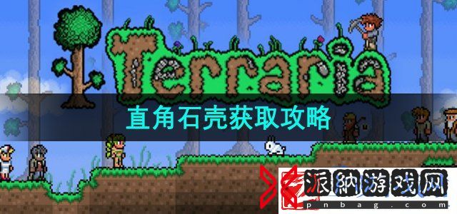 泰拉瑞亚直角石壳怎么获取