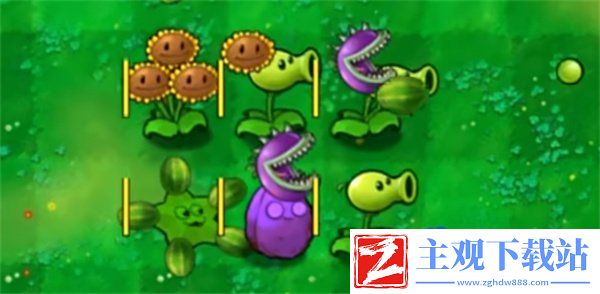 植物大战僵尸嫁接版在哪下载