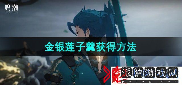 鸣潮金银莲子羹怎么获得