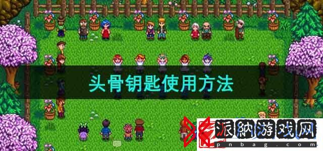 星露谷物语头骨钥匙怎么使用
