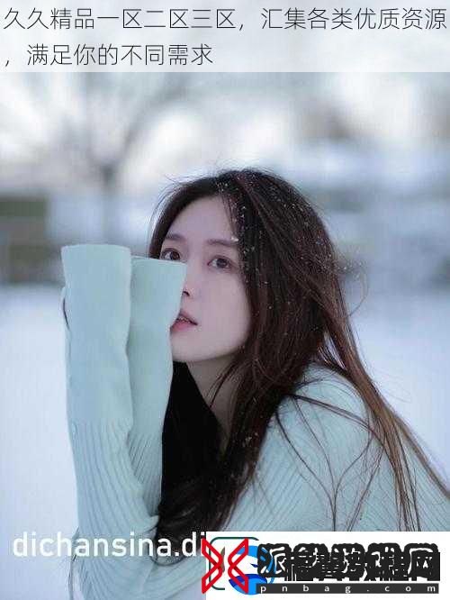 久久精品一区二区三区汇集各类优质资源满足你的不同需求