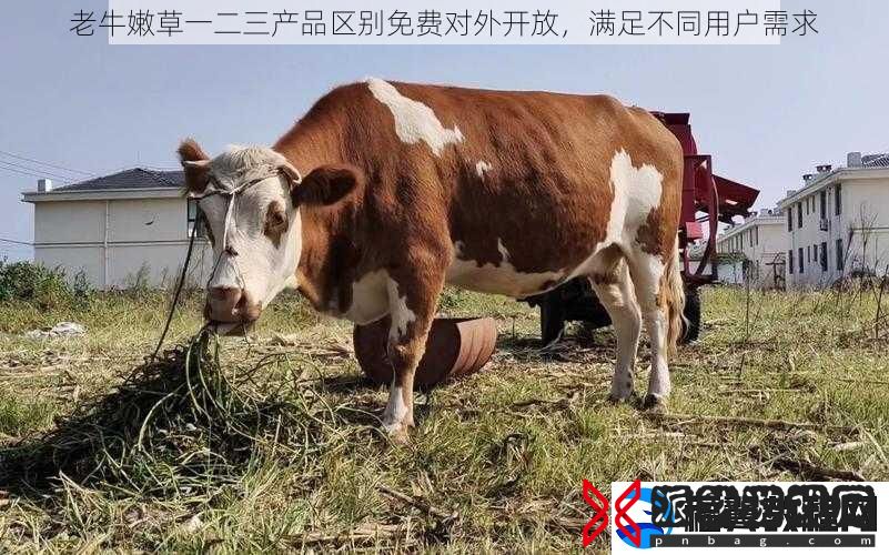 老牛嫩草一二三产品区别免费对外开放