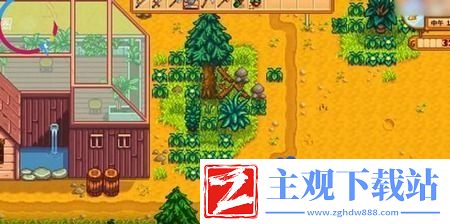 星露谷物语温泉在哪