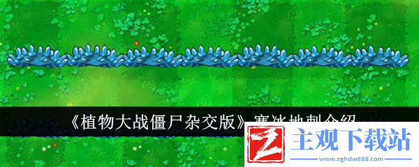植物大战僵尸杂交版寒冰地刺介绍：攻略分享站位