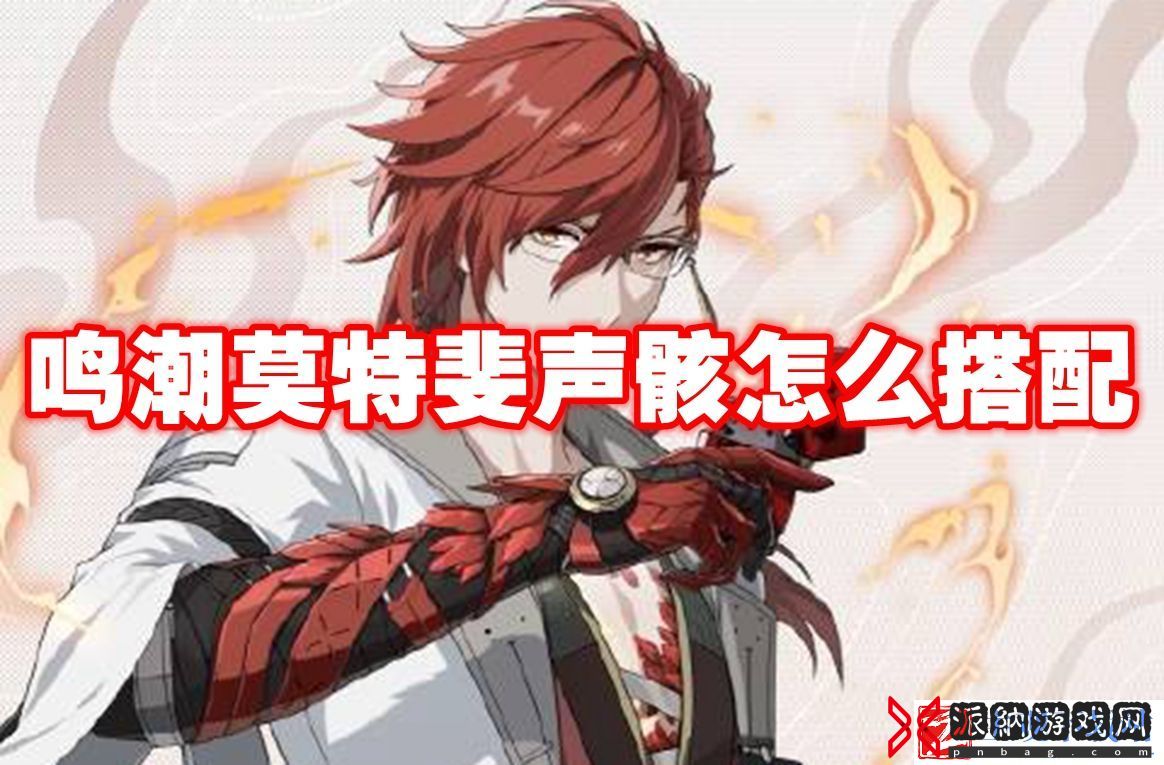 鸣潮莫特斐声骸怎么搭配：与队友分享游戏经验和技巧