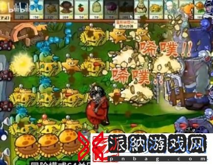 植物大战僵尸杂交版2.1版冒险模式第64关怎么过-植物大战僵尸杂交版2.1版冒险模式第64关通关攻略