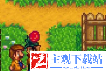 星露谷物语海盗的妻子任务怎么做