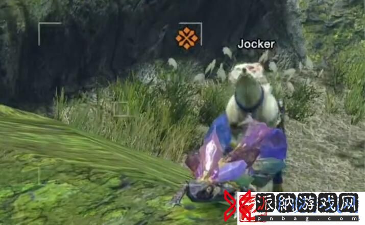 怪物猎人崛起石守蜥蜴位置