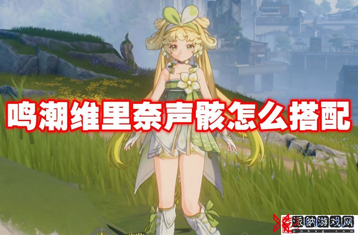 鸣潮维里奈声骸怎么搭配