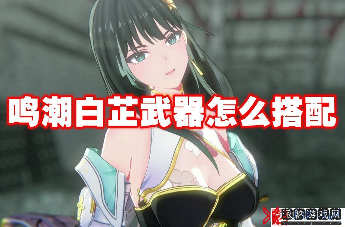 鸣潮白芷武器怎么搭配