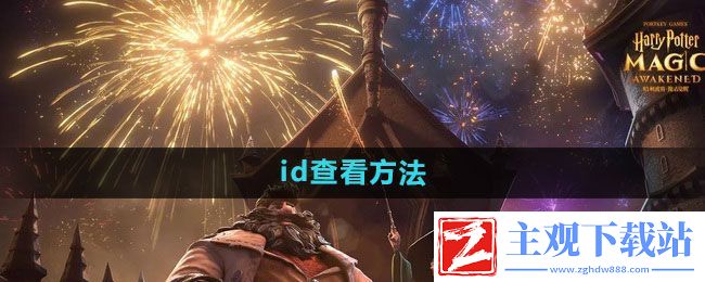 哈利波特魔法觉醒id如何查看