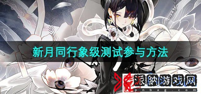 新月同行象级测试怎么参加