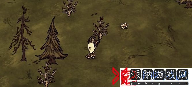 饥荒理智怎么恢复