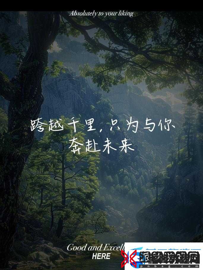 男二女二的爱情