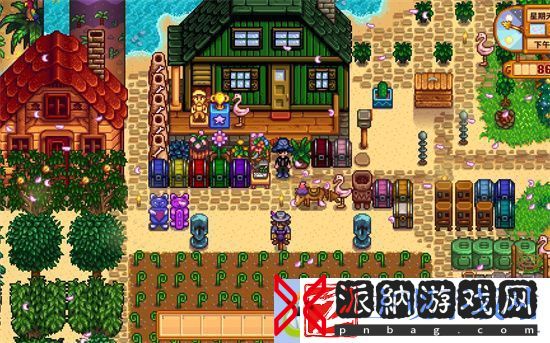 海滩断桥作用介绍-星露谷物语海滩断桥作用是什么