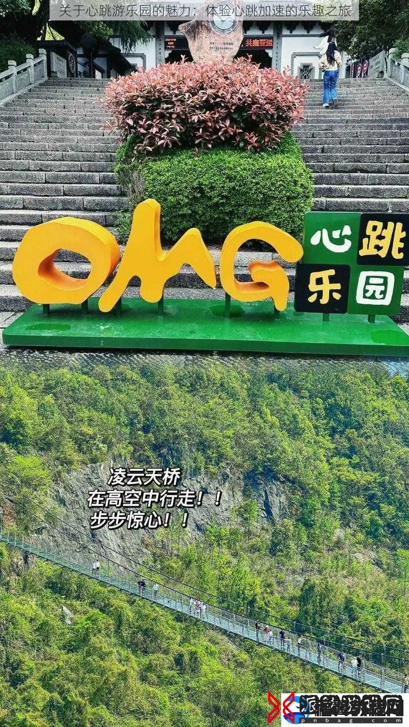 关于心跳游乐园的魅力