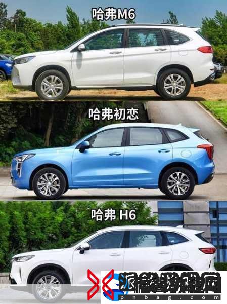 久免费一级SUV好看的国产