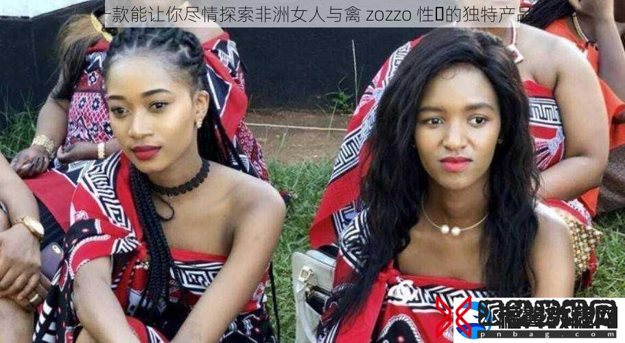 一款能让你尽情探索非洲女人与禽