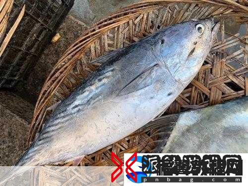 超级肉禽系统体验-1.-深入探索超级肉禽系统的独特体验