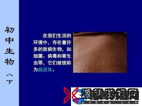 翁止熄痒苏钥第9章-友：真相终究浮出水面