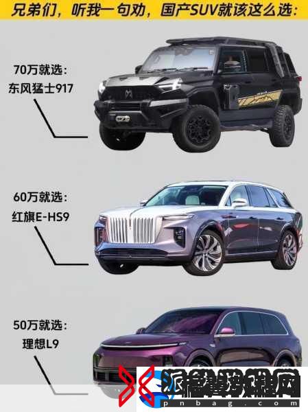 久免费一级SUV好看的国产