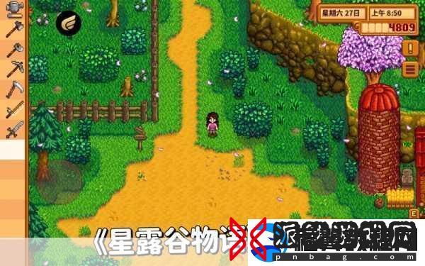 星露谷物语深度探索