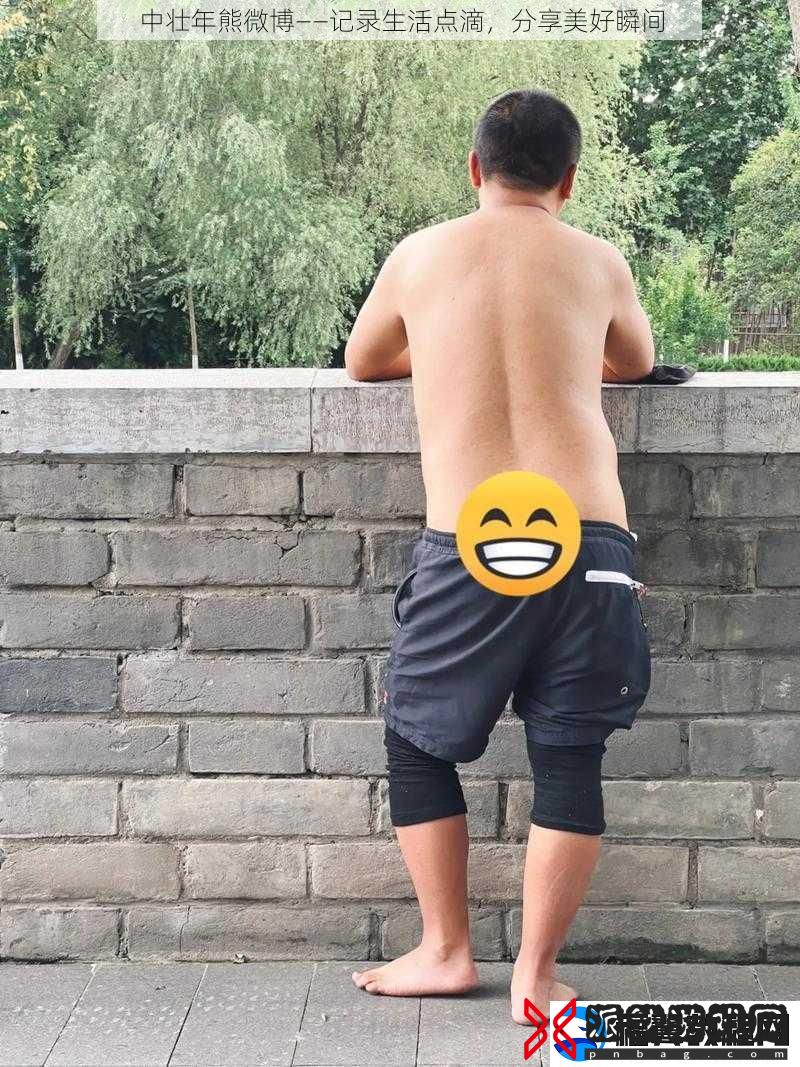 中壮年熊微博——记录生活点滴