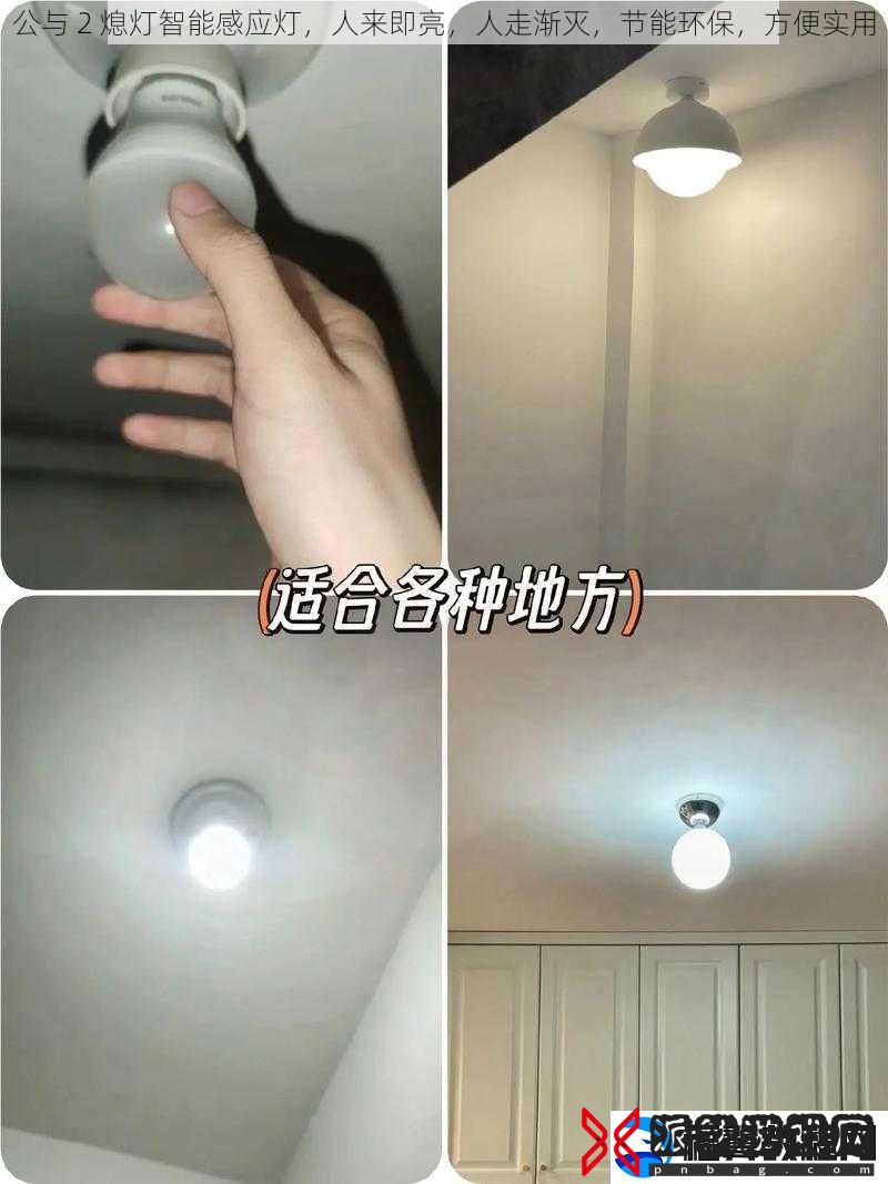 公与-2-熄灯智能感应灯-人来即亮-人走渐灭-节能环保-方便实用