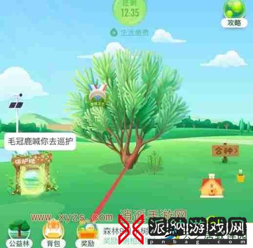 支付宝能量保护罩怎么获得