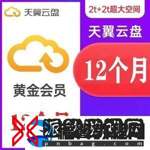 天翼云盘VIP领取地址：一个让人笑Cry的幽默误解