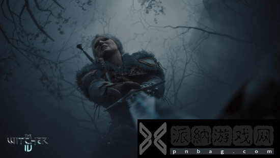 《巫师4》开放世界更注重质量 不盲目追求大！