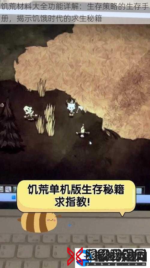 饥荒材料大全功能详解：生存策略的生存手册-揭示饥饿时代的求生秘籍