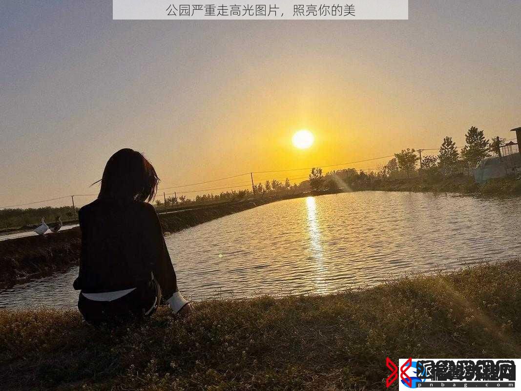 公园严重走高光图片-照亮你的美