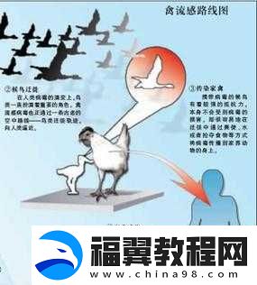 巴西人