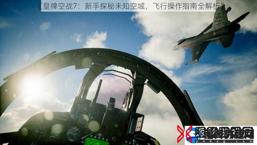 皇牌空战7
