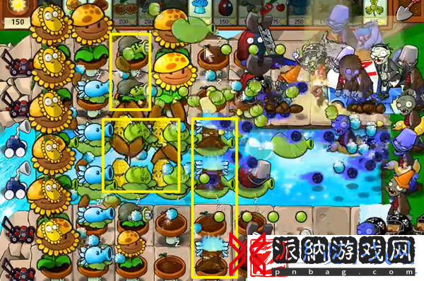 植物大战僵尸杂交版冒险24关怎么过