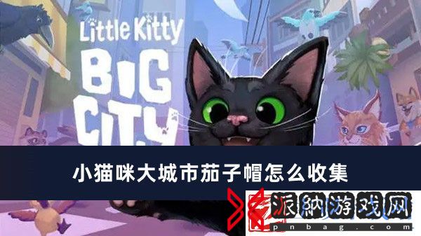 小猫咪大城市茄子帽收集方法推荐-小猫咪大城市茄子帽怎么收集