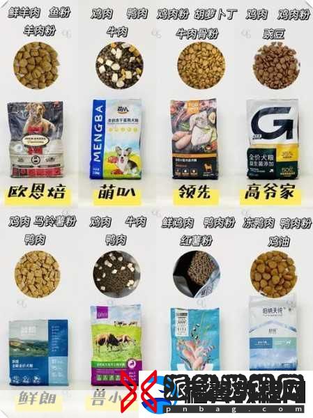 人狗胶配方大全狗狗使用