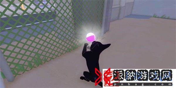 小猫咪大城市茄子帽收集方法推荐