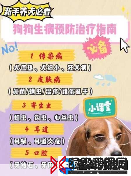 人狗胶配方大全狗狗使用
