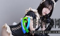 观点
