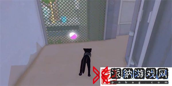 小猫咪大城市茄子帽收集方法推荐