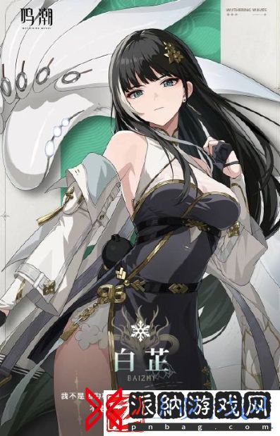 鸣潮白芷声骸怎么搭配