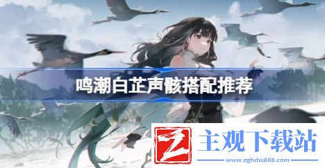 鸣潮白芷声骸怎么搭配-鸣潮白芷声骸搭配推荐
