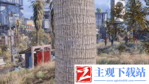 《赛博朋克2077》最新高清纹理MOD