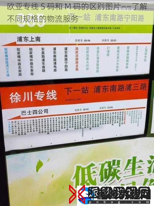 欧亚专线-S-码和-M-码的区别图片——了解不同规格的物流服务