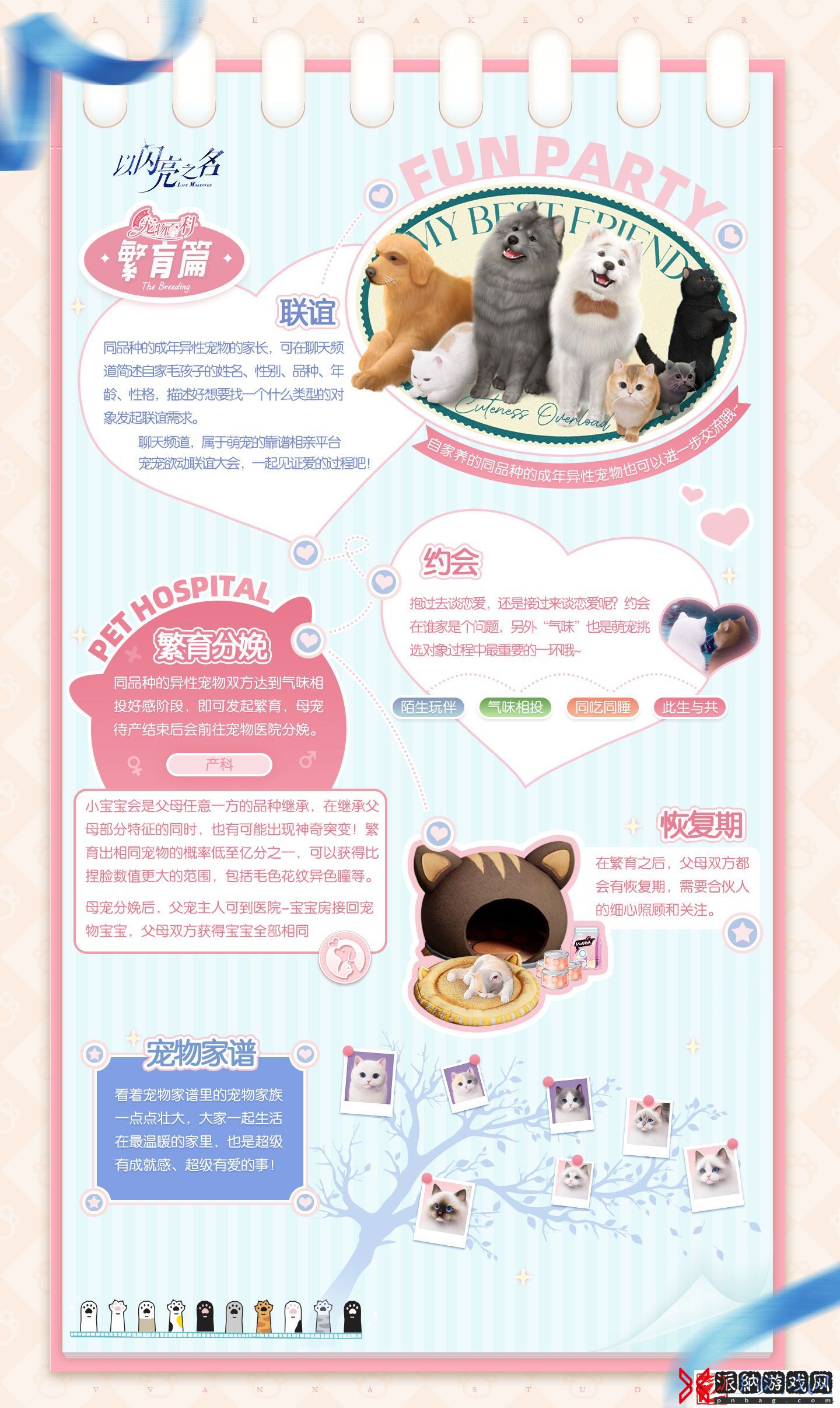 以闪亮之名宠物系统怎么玩