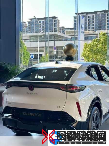 探寻尺码最大的国产SUV：探索国内市场最大尺码SUV的热门选择与评测